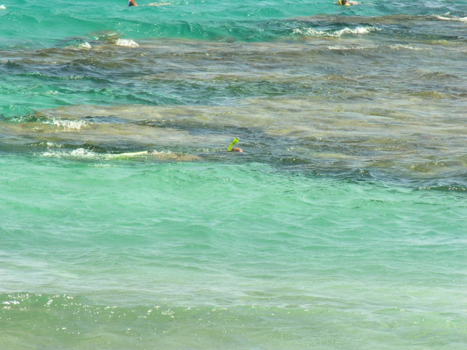 Plaża rafa Malikia Resort Abu Dabbab