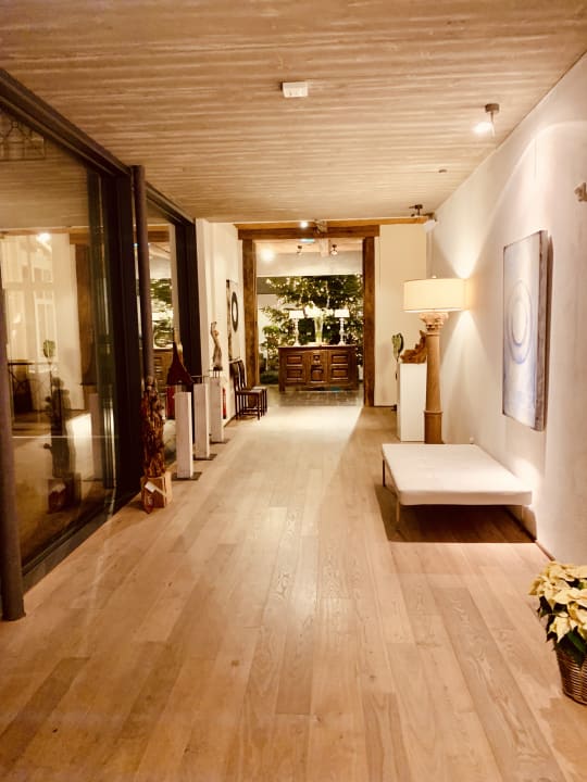 Sonstiges BollAnts Spa im Park