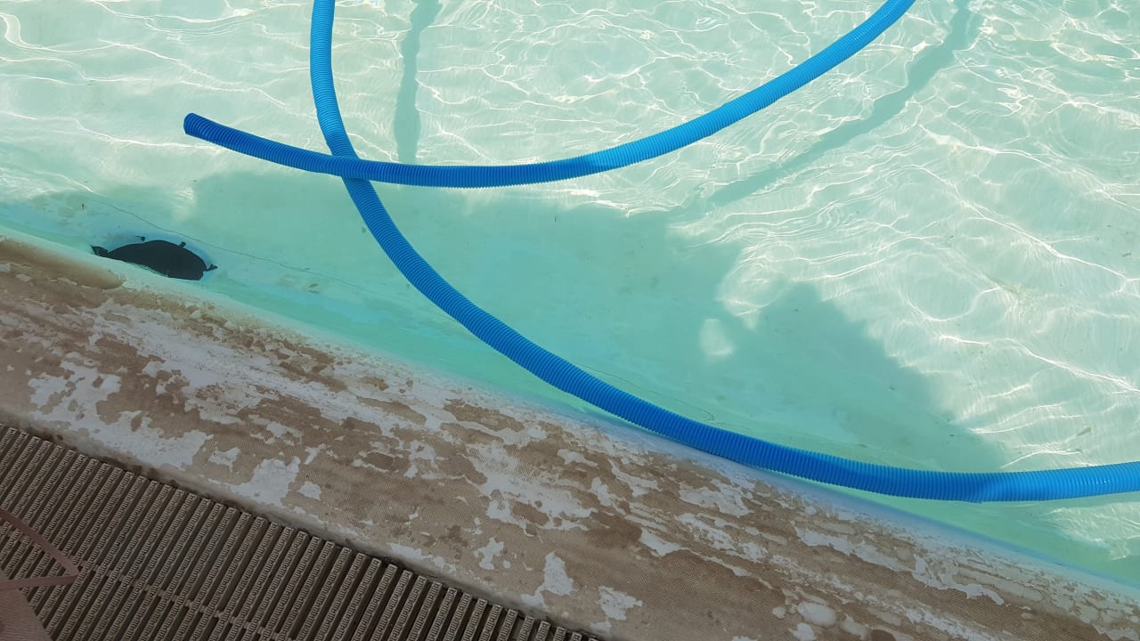 Pool Royal Lagoons Resort & Aqua Park