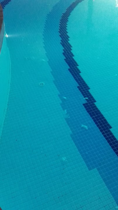 Super sauber! Well Palace Side