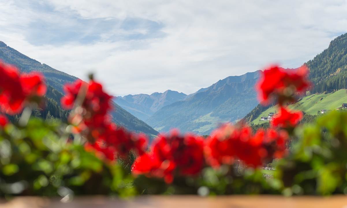 Sonstiges Hotel Talblick