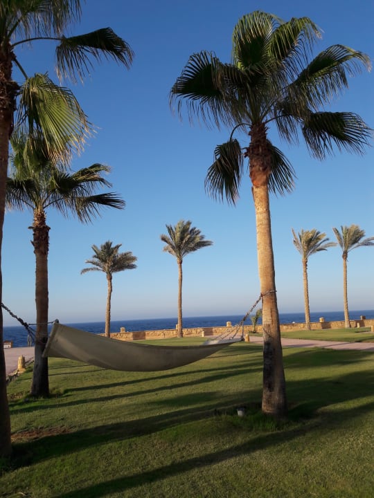 Gartenanlage Jaz Grand Marsa