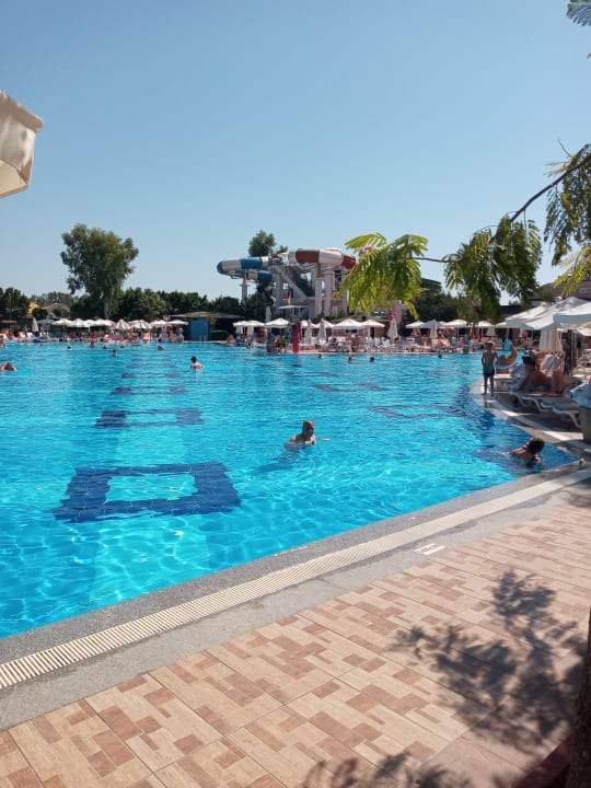 Pool Hotel Delphin Imperial