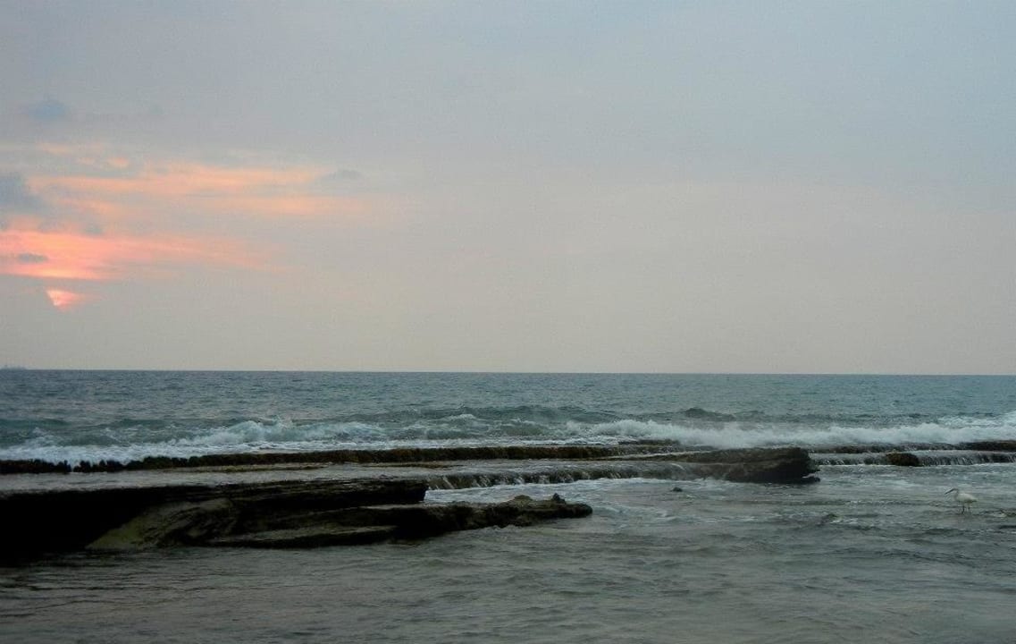 Front  Hotel Garden Beach