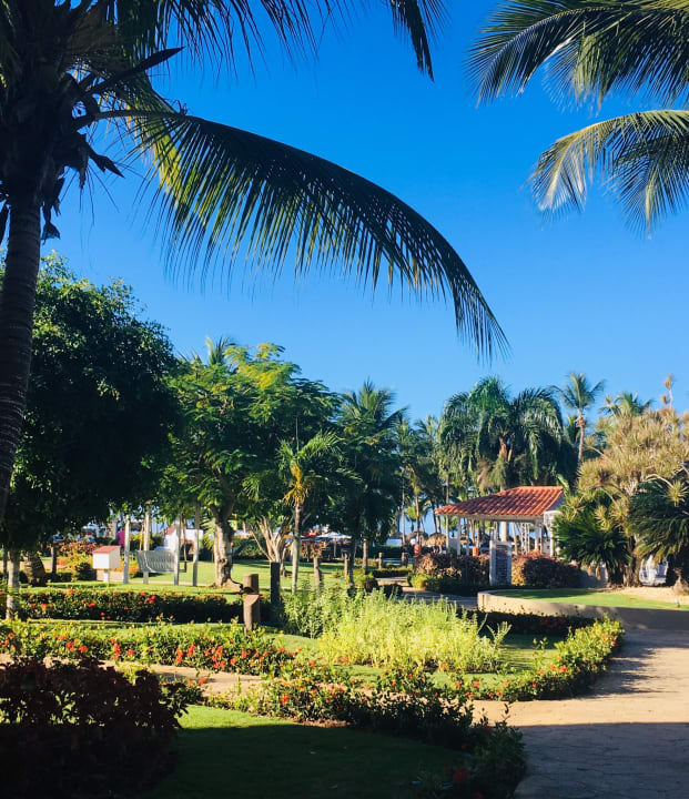 Gartenanlage Catalonia Royal La Romana - Adults only