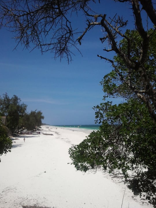 Diani Beach direkt am Hotel Baobab Beach Resort & Spa