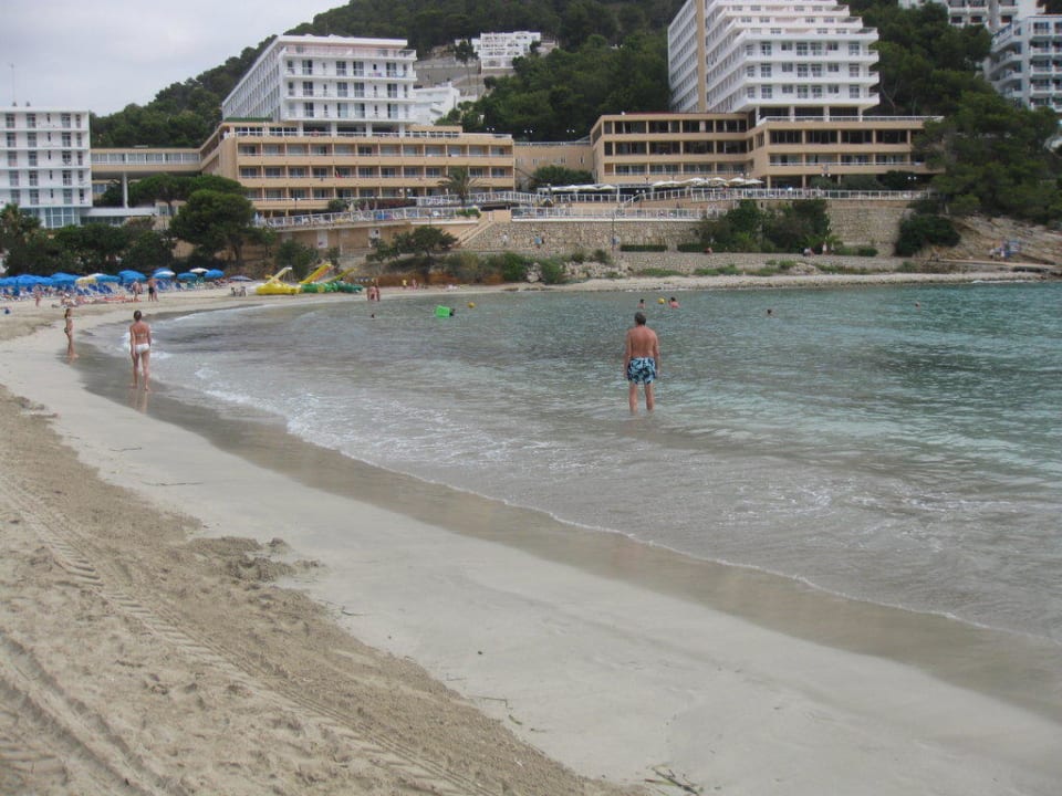 Zwei Strände in schönen Buchten Moon Dreams Coral Beach