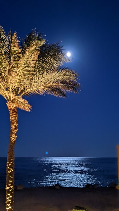 Ausblick TUI MAGIC LIFE Kalawy