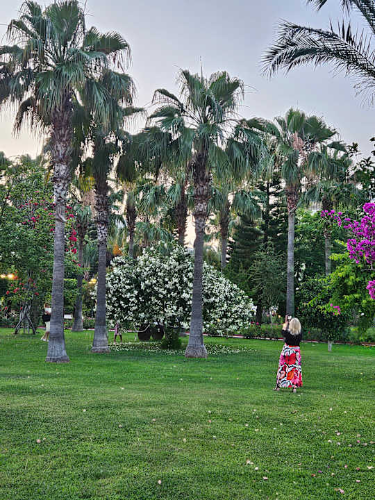 Gartenanlage Saphir Resort & Spa