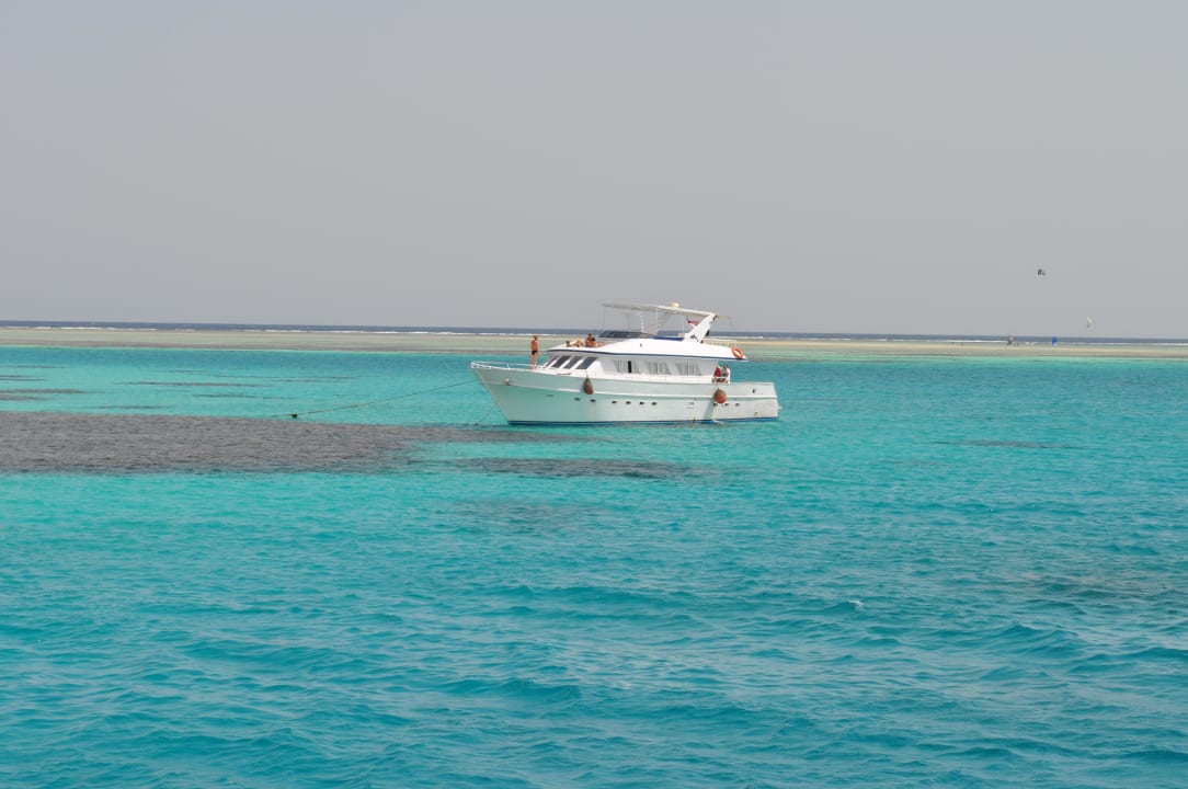 Tauchen Jaz Makadi Oasis Resort