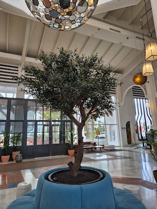 Lobby H10 Timanfaya Palace - Adults only