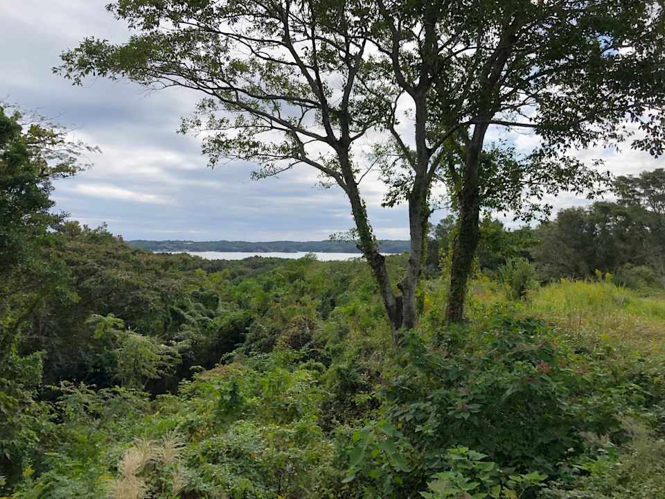 Ausblick Amanemu