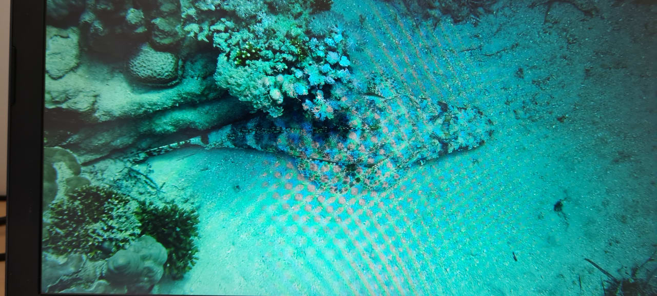 Sport & Freizeit Novotel Marsa Alam Beach Resort