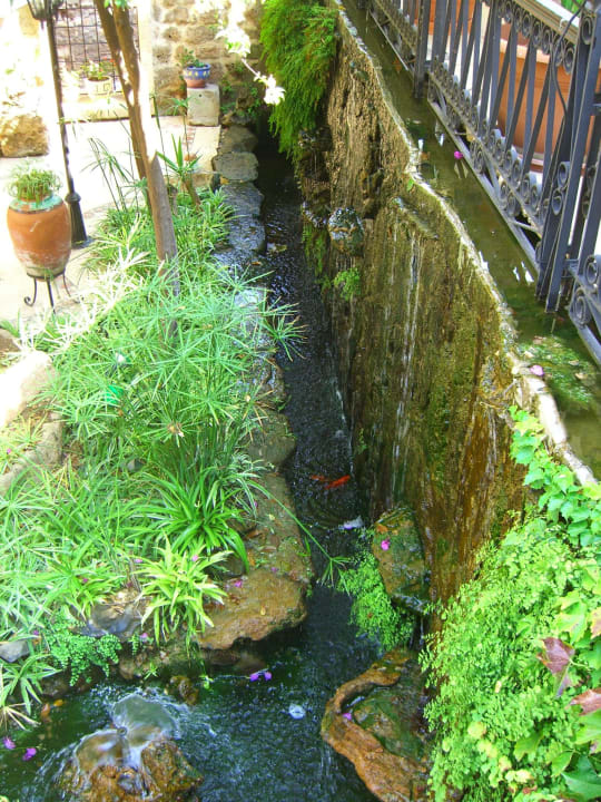 Sogar Fische fühlen sich in dieser Anlage wohl Dogan Hotel by Prana Hotels & Resorts