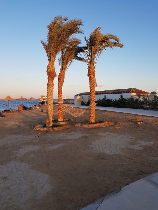 Strand Gravity Hotel & Aqua Park Hurghada