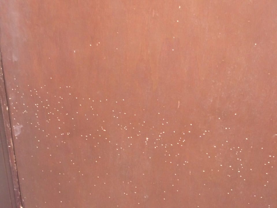 Holzwürmer Tür Gavimar Ariel Chico Club & Resort