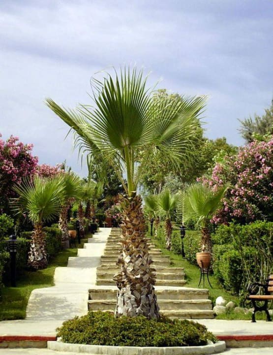 Weg Alba Resort Hotel
