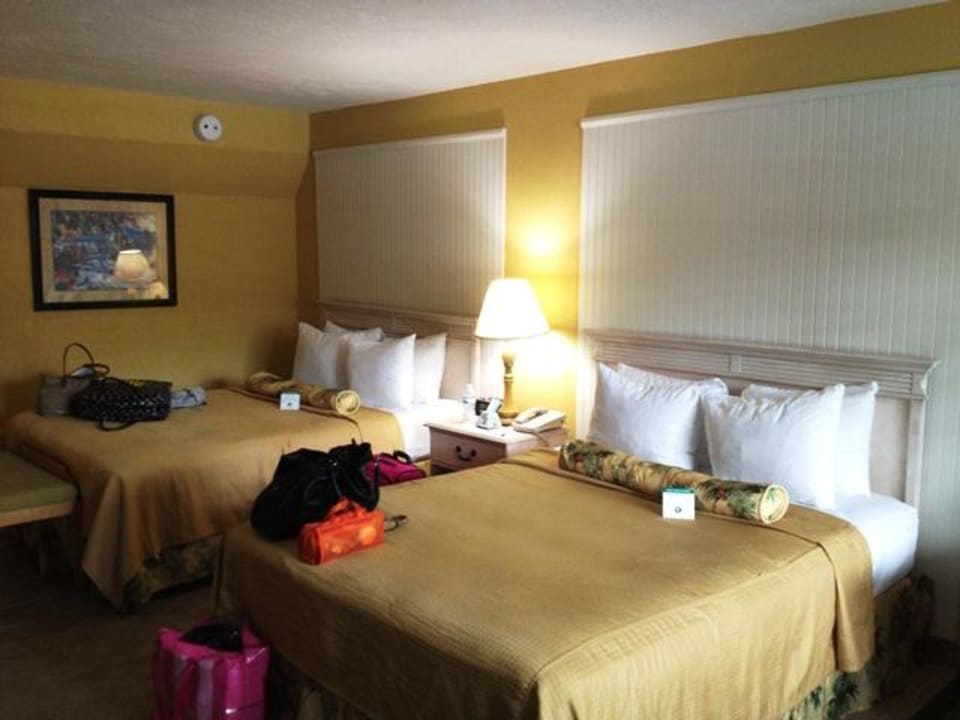 Unser Zimmer Best Western Plus Hibiscus Motel
