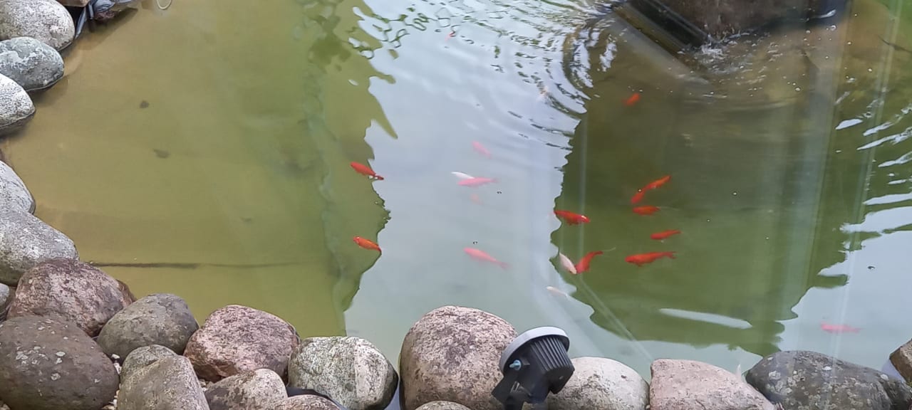 Außenansicht Ferien Hotel Spree-Neiße