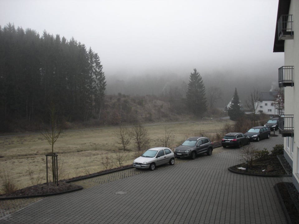 Ausblick auf Wald und Hotelparkplätze Dorint Parkhotel Siegen
