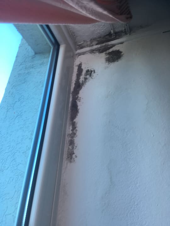 Zimmer Hotel Zorna Plava Laguna