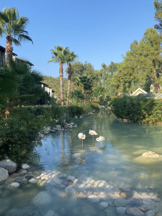 Außenansicht Rixos Premium Tekirova