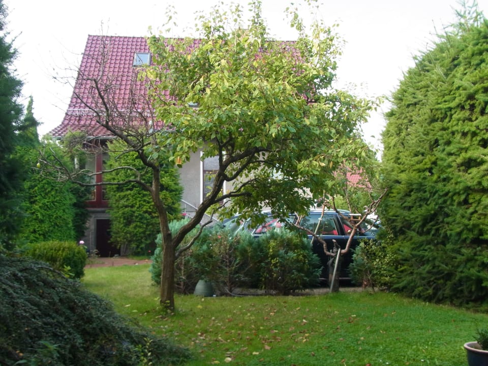 Des Vermieters Zimmer & Fewo Pension Fischerhaus