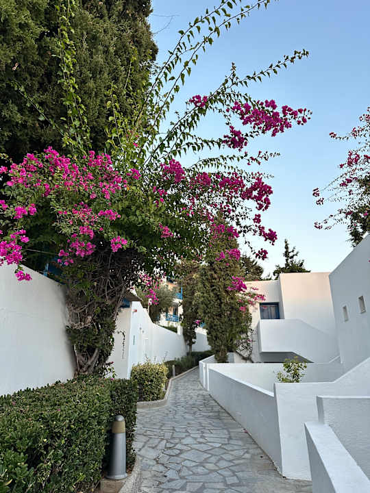 Außenansicht ROBINSON DAIDALOS