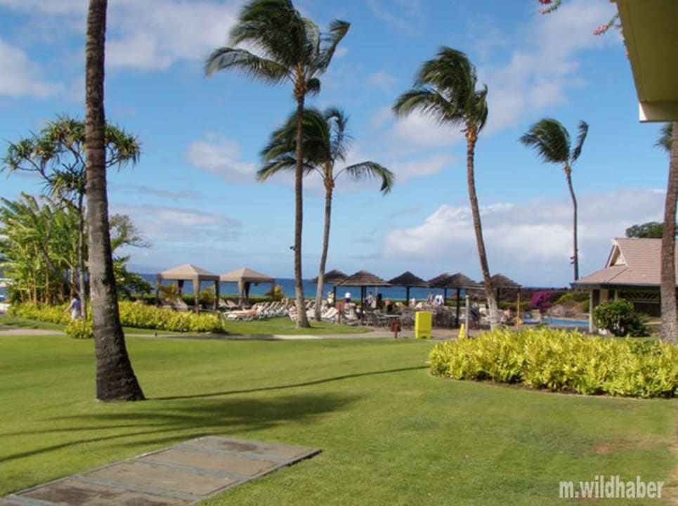 Blick Richtung Pool vom Sitzplatz aus Hotel Sheraton Maui Resort