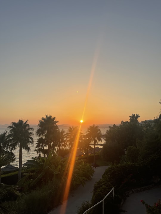Ausblick TUI MAGIC LIFE Bodrum - Adult Only (16+)