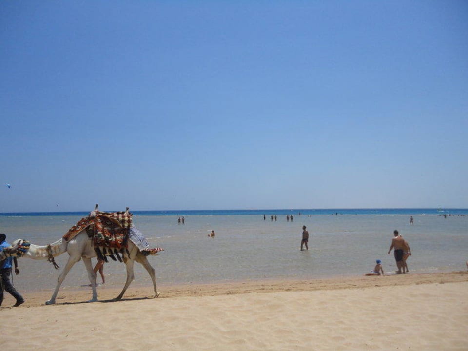 Plaża Imperial Shams Abu Soma