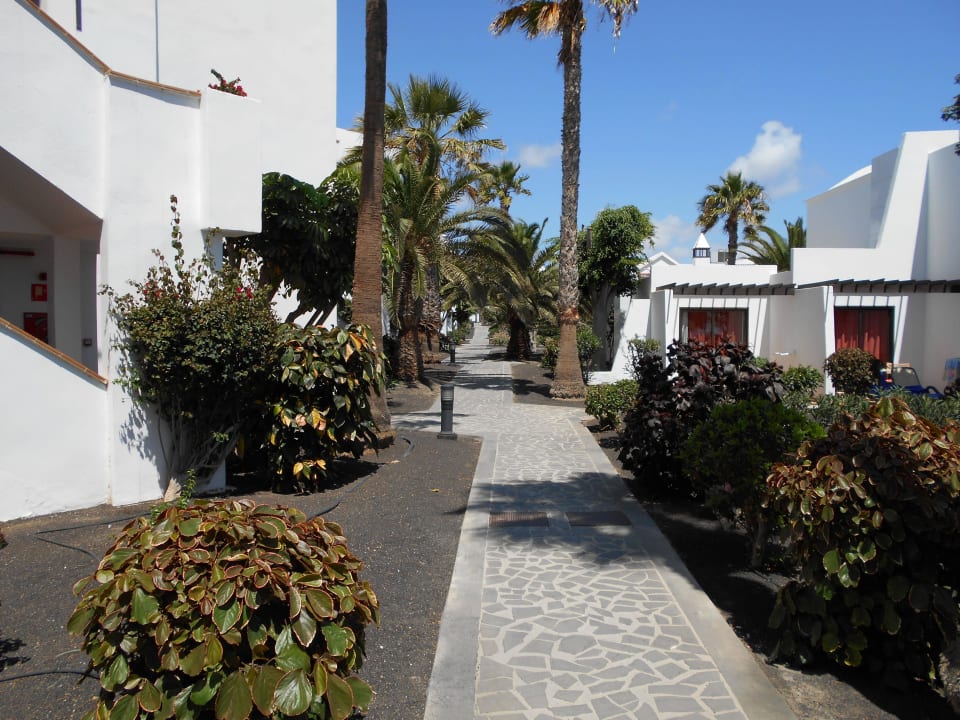 Gartenanlage durch die Bungalows allsun App.-Hotel Albatros