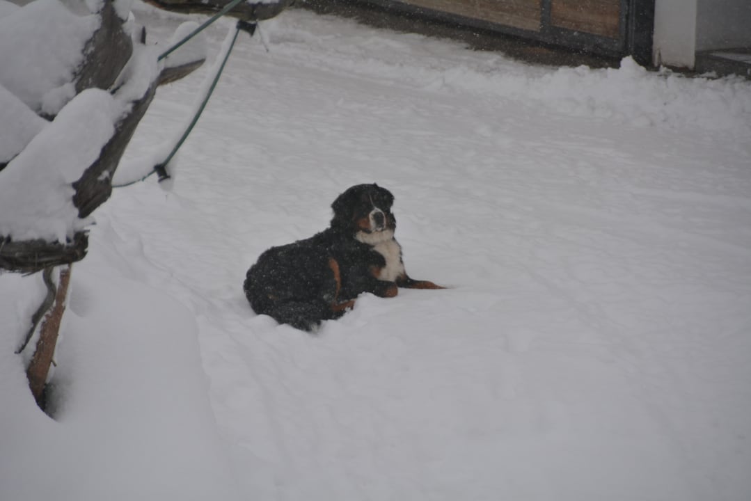 Sonstiges Kinderbauernhof Kniegut