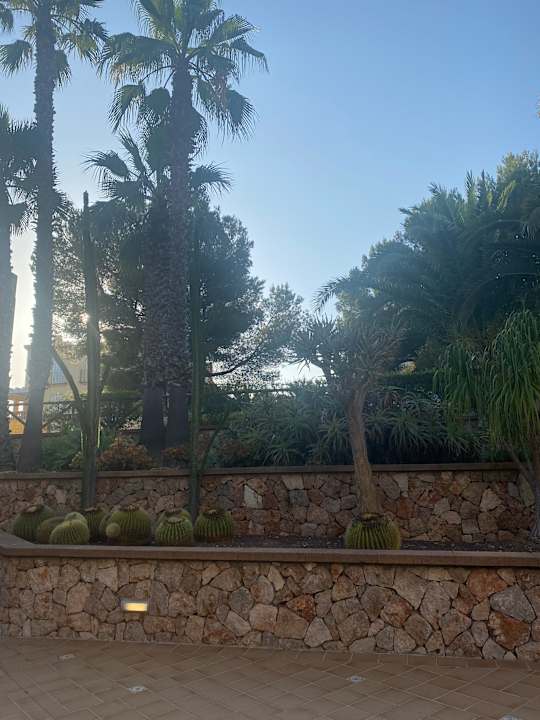 Gartenanlage Zafiro Mallorca