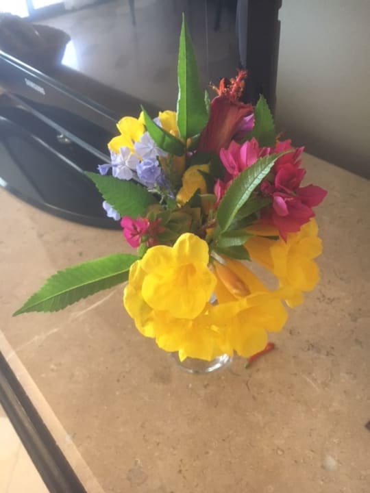 Zimmer Steigenberger ALDAU Beach Hotel