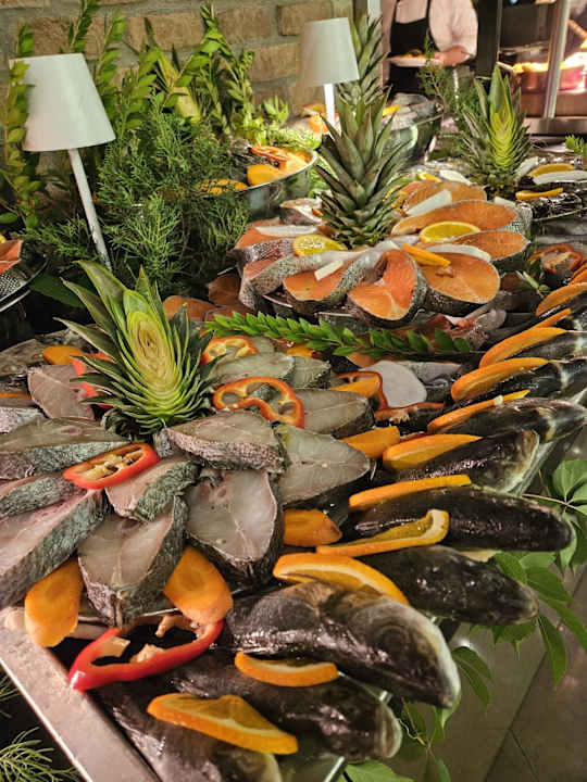 Gastro Rixos Premium Belek