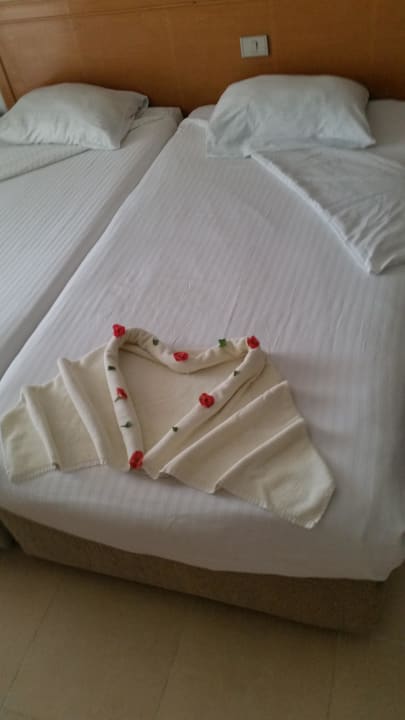 Jeden Tag was Neues Beach Albatros Resort