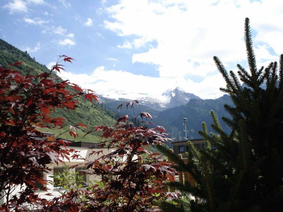 Blickvom Garten auf Gletscher Hotel Alpenhof