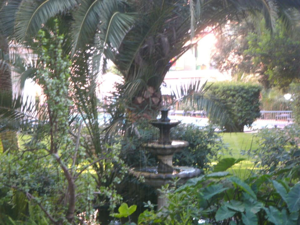 Blick in den Garten Lago Garden