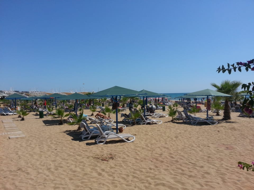 Strand Paloma Oceana