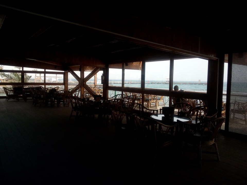 Ausblick Desert Rose