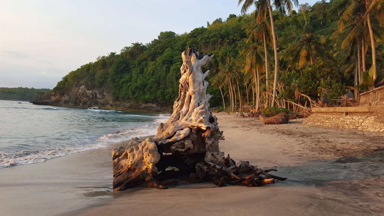 Etwas Holz am Strand Coco Resort Penida