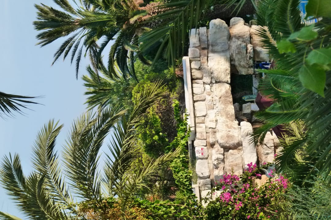 Poolbar. TUI MAGIC LIFE Africana