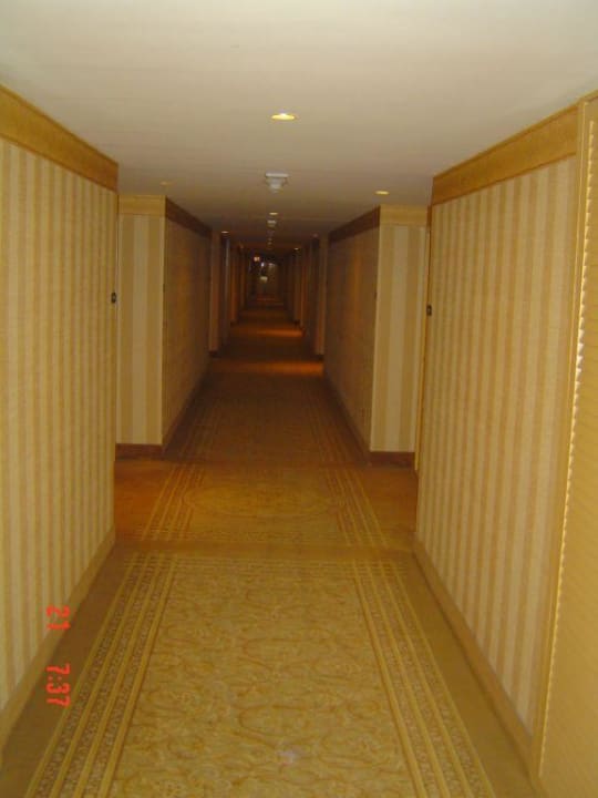 Hotel Golden Nugget Hotel Golden Nugget