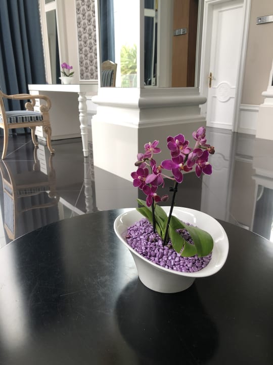 Sonstiges Hotel Riu Palace Meloneras