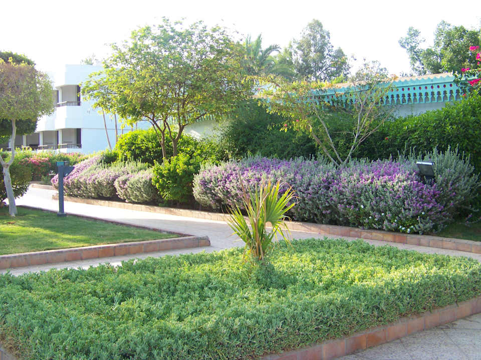 Gepflegte Anlage Ghazala Beach