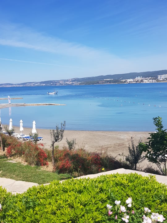 Außenansicht Gold Island Selected