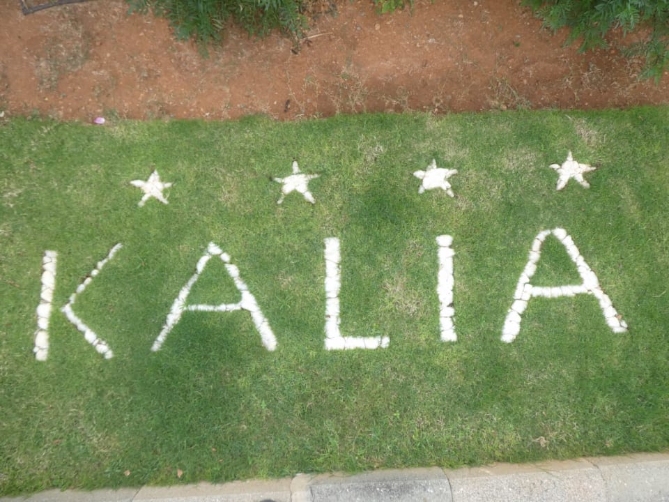 Gartenanlage Kalia Beach Hotel