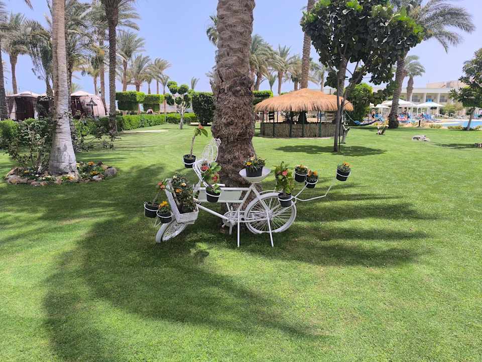 Gartenanlage LABRANDA Royal Makadi