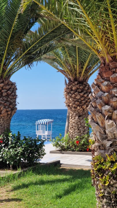 Gartenanlage Hotel Riu Arecas - Adults only